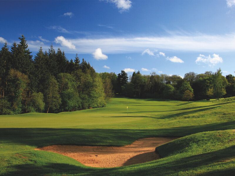 59 club partner page image 1 (1).jpg