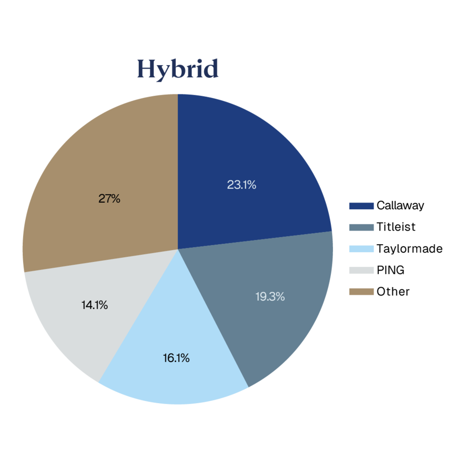 PIE CHARTS WITH PERCENTAGES_Hybrid.png