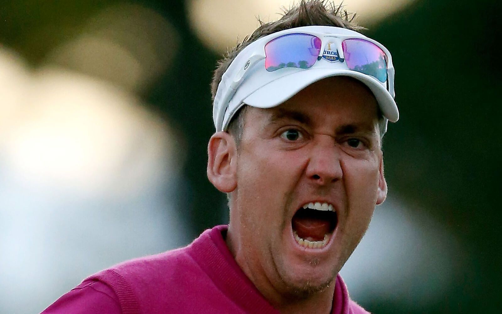 Miracle at Medinah.jpg