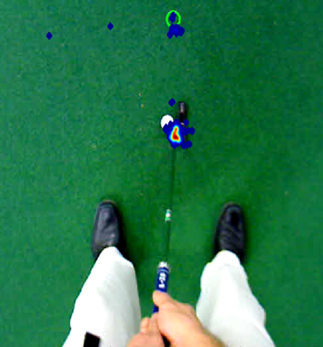 Fig 3 Quiet Eye Golfer View.png