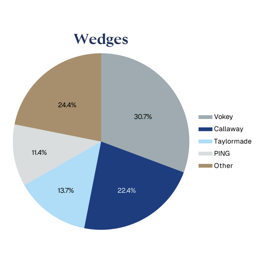 PIE CHARTS WITH PERCENTAGES_Wedges.png