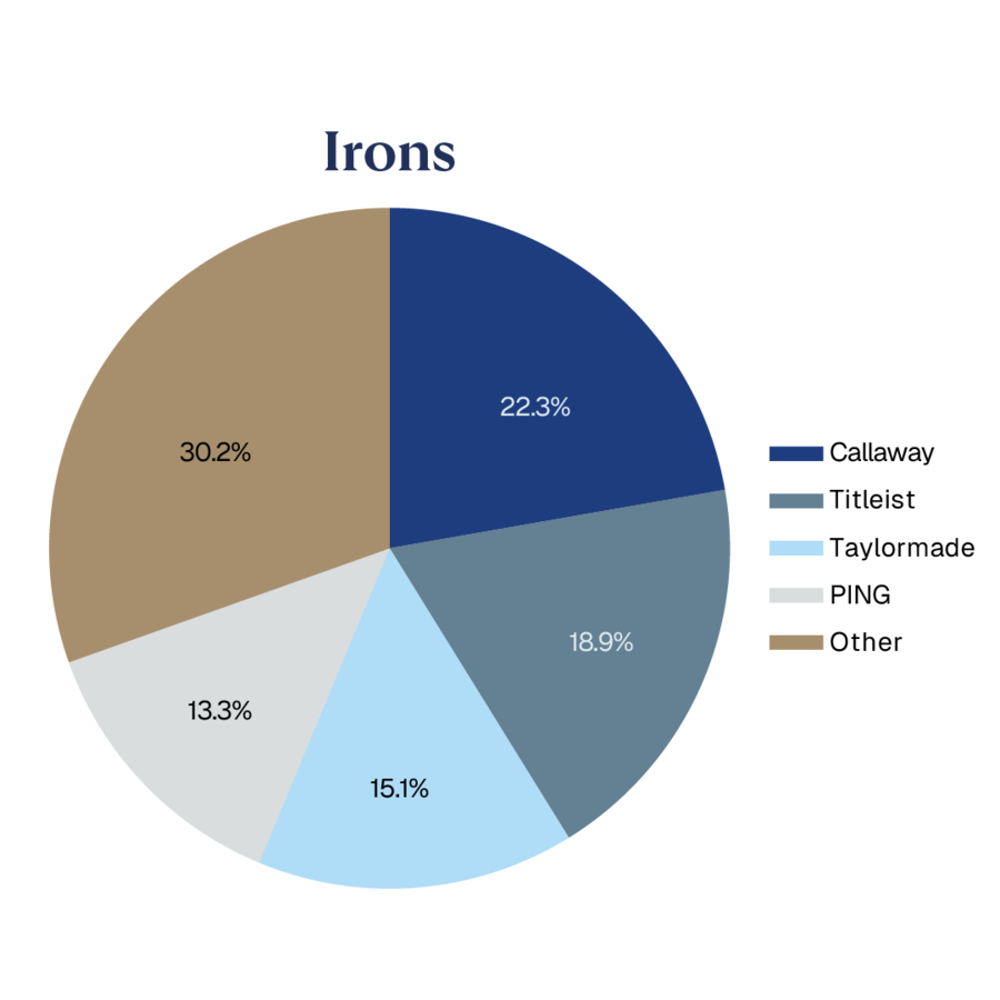 PIE CHARTS WITH PERCENTAGES_Irons.png